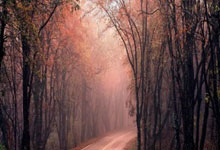 乐鱼体育登陆入口-德土大战引爆绿茵场！钢铁意志VS突厥铁骑的世纪对撞