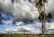 乐鱼体育-AC米兰奥运惨败！谁该为“黑色三分钟”埋单？