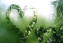 乐鱼-北伦敦的夜，复仇的火焰永不灭！热刺客场逆袭掀翻酋长球场