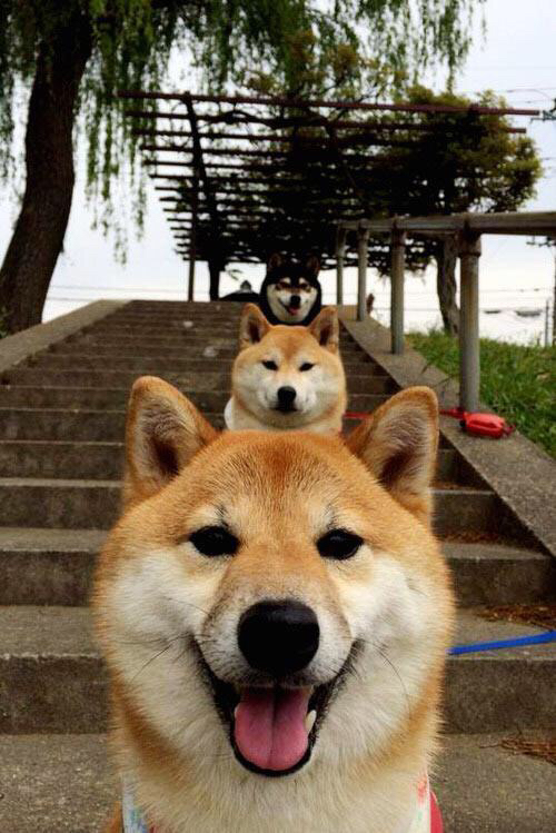 当南大王遭遇神话防线，库尔图瓦的教科书，如何让拜仁的利刃黯然无光？