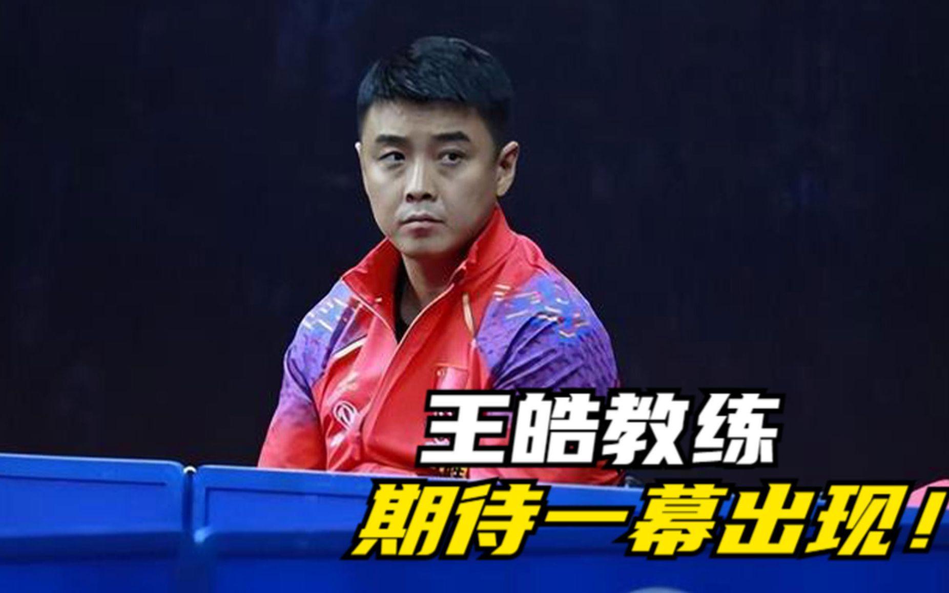 葡萄牙队逆转日本队，王皓高光表现的简单介绍